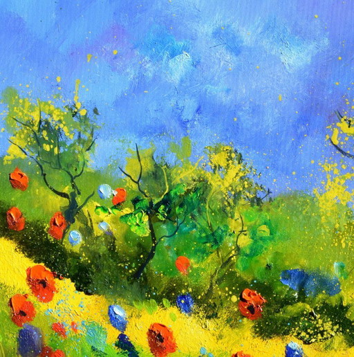 Red and blue poppies 
