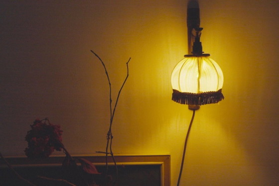 Dutch Vintage Bamboo Wall Sconce with Brown Fringed Fabric Shade – Wall lights, Textile (photo 5 of 10)