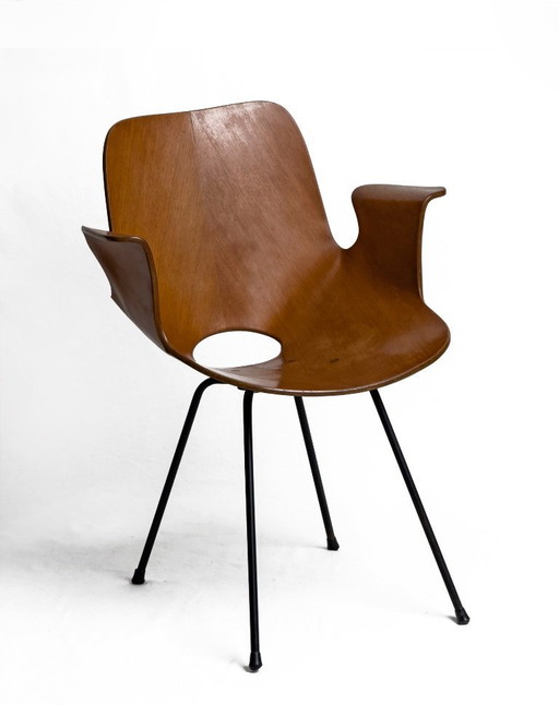 Vintage bentwood Medea Chair by Vittorio Nobili, Italy 1950s