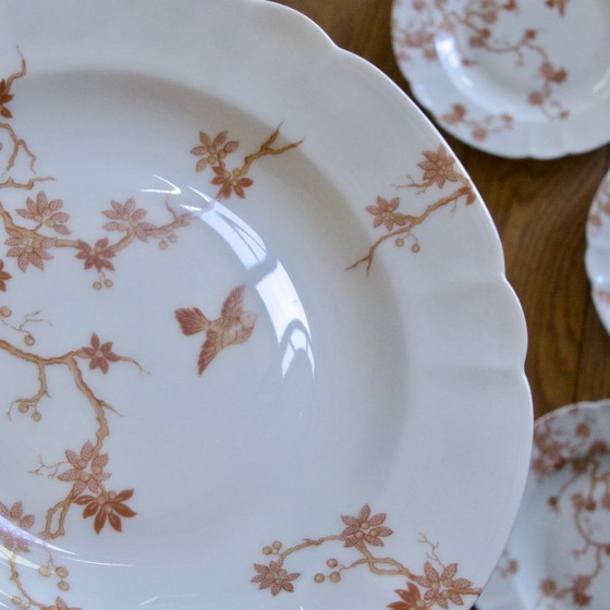 Image 1 of Piatti antichi in porcellana Limoges Haviland, decorati con uccelli