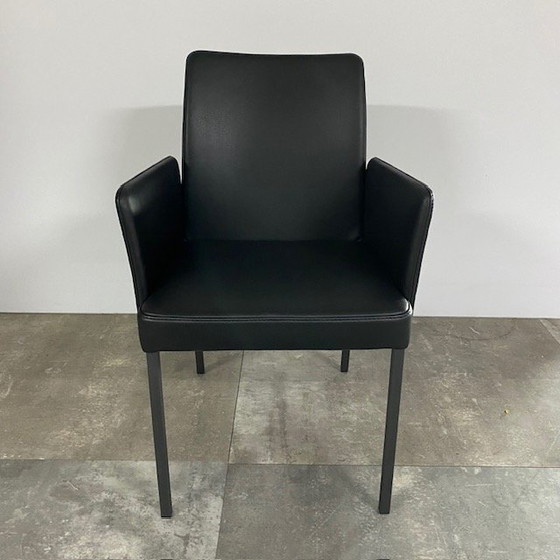 Silla Ultimo – Bert Plantagie, Sillas de comedor, Leather, Calfskin (photo 5 of 5)