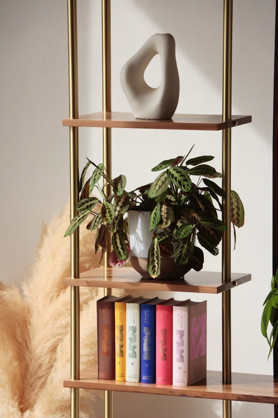 Image 1 of Divisorio per ambienti illuminato - Noce e ottone