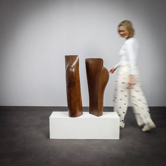 Image 1 of Esculturas de madera orgánica respirando de Ineke van Zuuren, años 70
