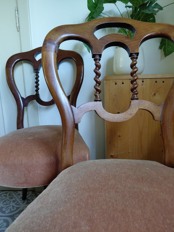 Juego de 4 sillas de comedor antiguas estilo Biedermeier - Buen estado – Velvet, Wood (photo 8 of 13)