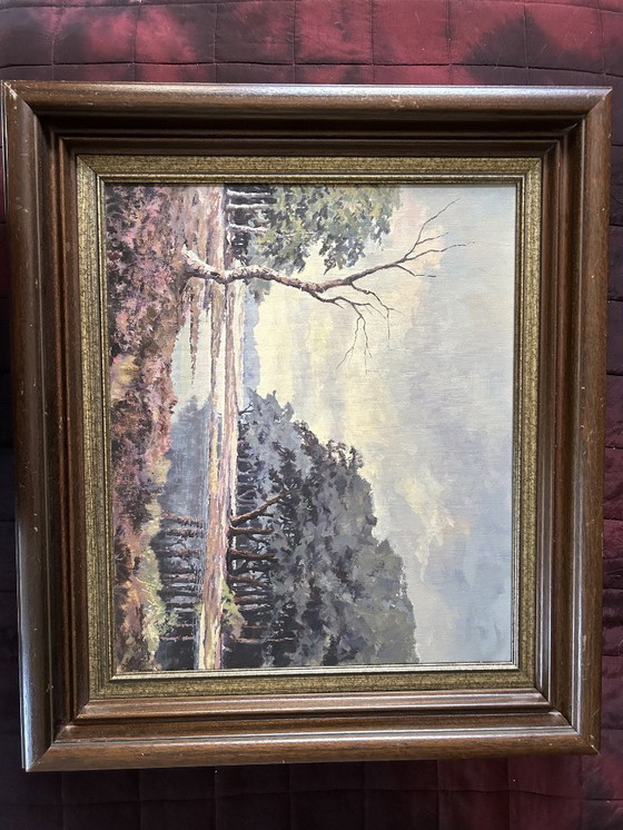 Image 1 of 2 cuadros de paisajes holandeses.