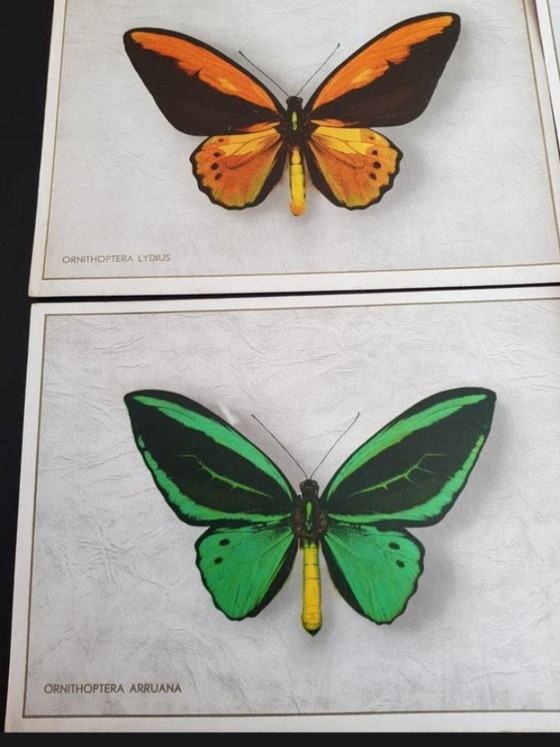 Image 1 of Complete Series (6 pcs) Antique Advertising Chromos Butterflies