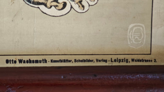 Image 1 of Poster scolastico Giga Vintage, Anatomia, corpo umano, tabella scolastica, retrò