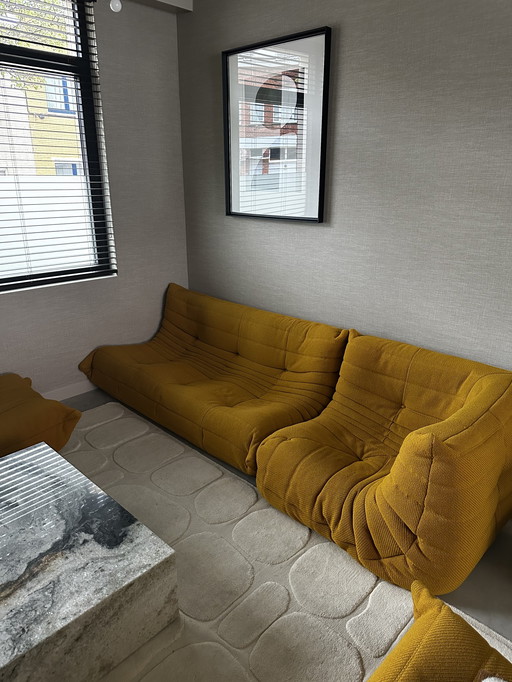 Ligne Roset Togo - Complete Original Set in Coda 442