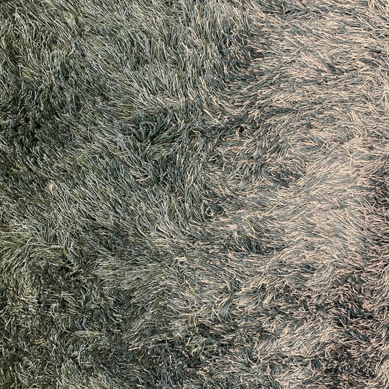 Image 1 of Leolux Seasons rug - 225x340