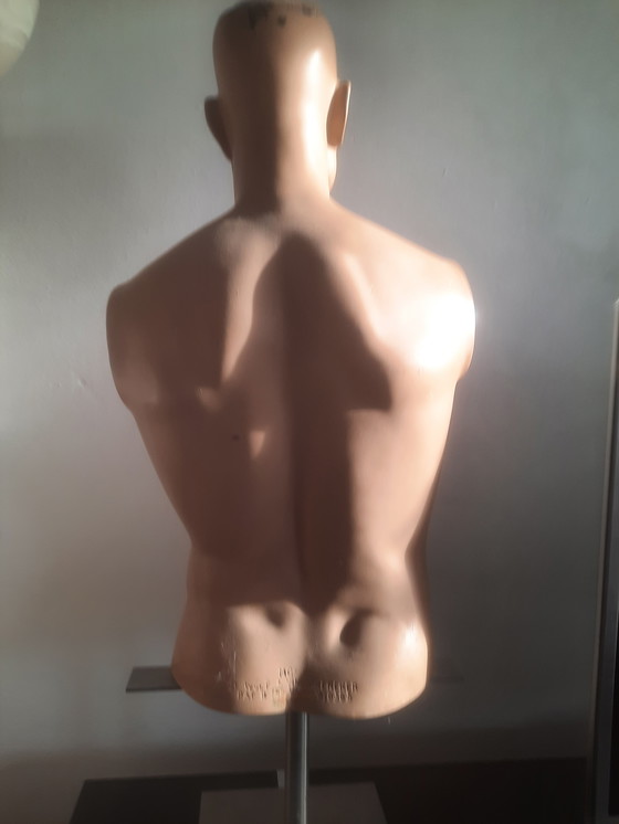 Image 1 of Torso di manichino maschile