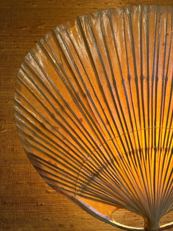 Image 1 of Uchiwa II - Ingo Maurer (M Design) Wandlampe