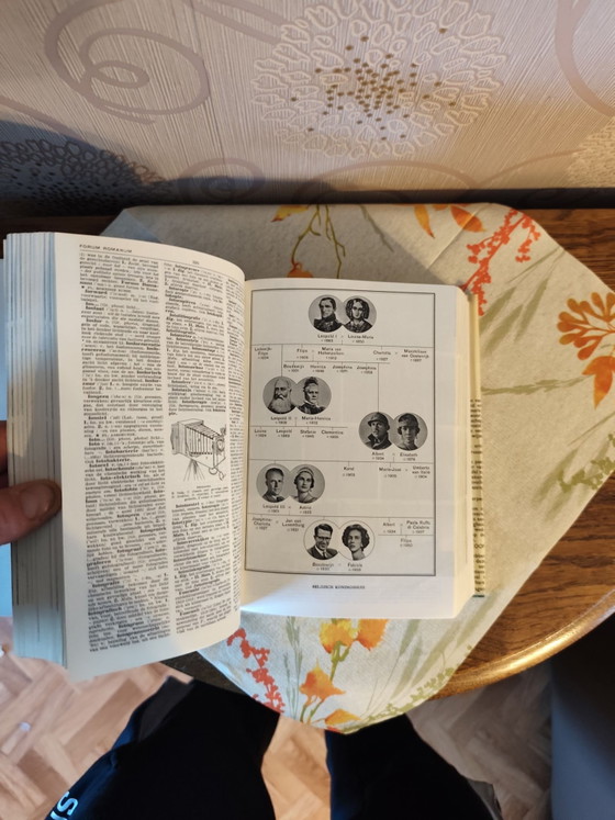Vintage Verschuerens Modern Dictionary, Standaard Uitgeverij, Coffee table books, Paper, Black (photo 9 of 11)