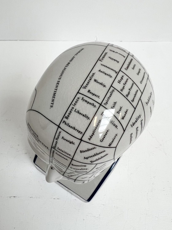 Image 1 of Testa frenologica in ceramica alta 30 cm, anni '90
