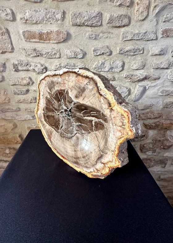 Image 1 of VIDE POCHE VINTAGE XXL 70