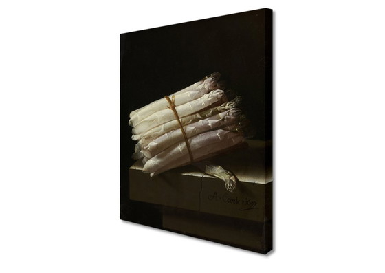 Adraen Coorte Natura morta con asparagi su tela – Litografie e stampe (photo 2 of 5)