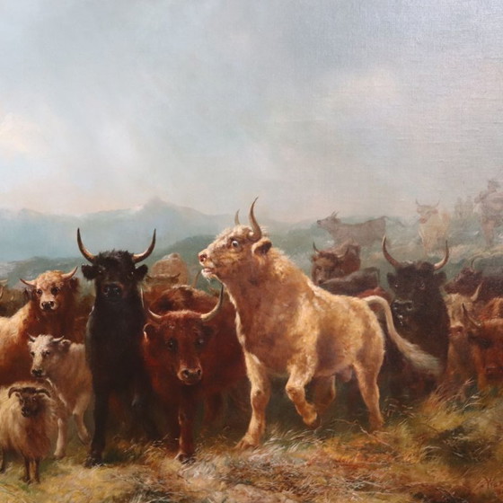 Image 1 of Large Oil Painting on Canvas, Herd of Cattle, Signed Watson W. 19th Century