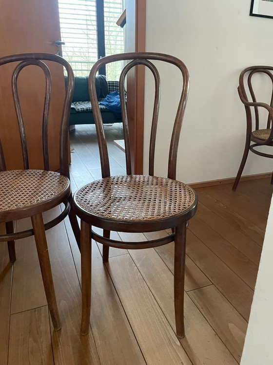 Image 1 of 6 chaises viennoises en osier Thonet, meubles en bois courbé ZPM Radomsko