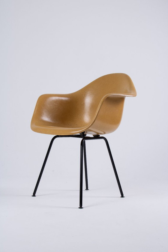 Image 1 of Paire de DAX Eames en fibre de verre – Light Ocre – Herman Miller / Vitra – circa 1965-1975