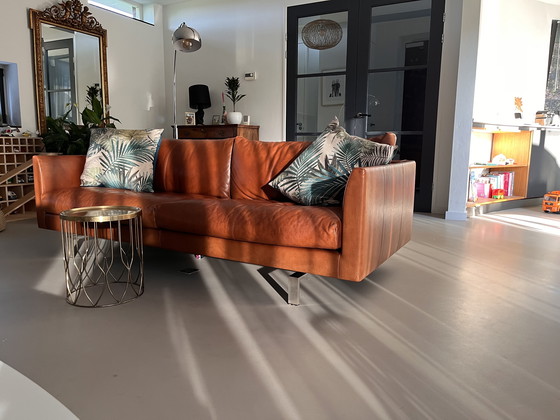 Image 1 of Montis Axel 3,5 posti in pelle Rancho