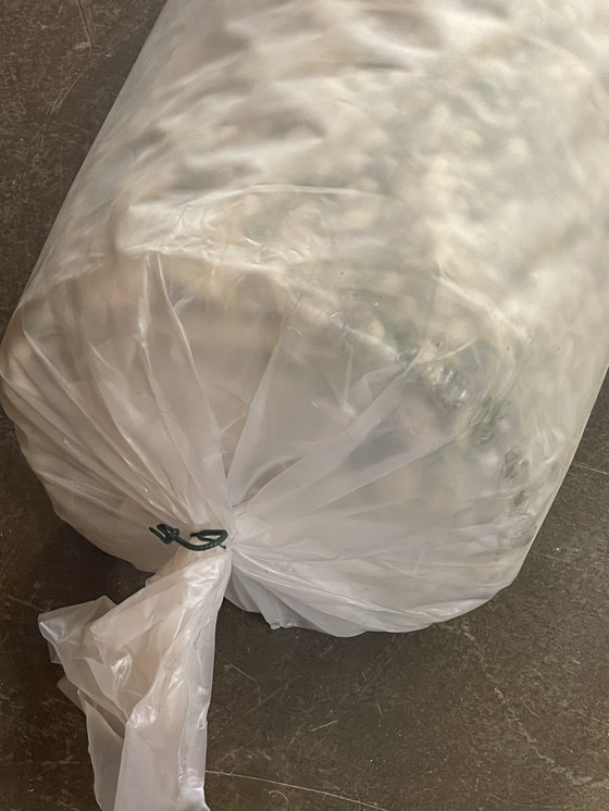 Image 1 of Brink en Campman Pebble carpet fresh green