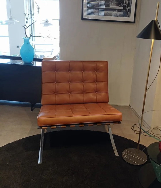 Image 1 of Sillón Knoll Barcelona - Nuevo, sin estrenar, en piel color caramelo y coñac - Diseño de L. Mies van der Rohe y Lilly Reich, 192