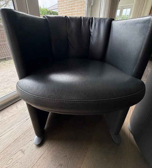 Fauteuils Rolf Benz Club