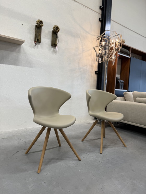 Image 1 of 2 Tonon Concept 902 11 Sedie Soft Touch