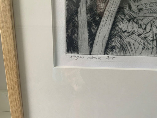 Colored and framed etching by Gerard van Kerkhof