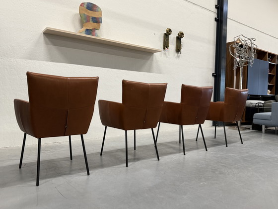 Image 1 of 4 Sillas de comedor Moka de diseño en stock Cera Cognac