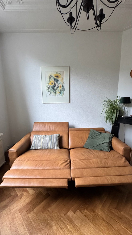 Lederland 3 Zita Gomera Walnut Color 2024 – Sofas, Leather, Metal (photo 5 of 6)