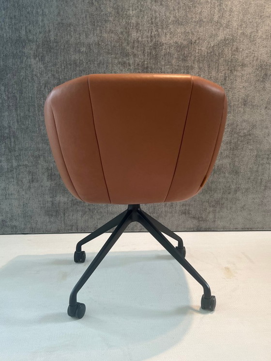 Image 1 of MONTIS Luna M0137