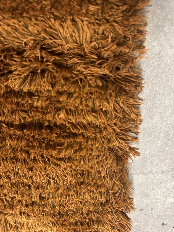 Image 1 of Brink en Campman Shade High Umber Tobac Rug 11903 190 x 300 cm