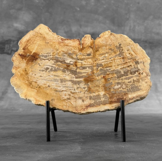 Image 1 of Madera fosilizada de Sooka, soporte hecho a medida (nuevo)