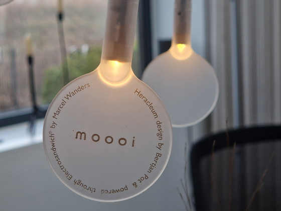 Image 1 of Moooi hanglamp Heracleum II Large Nikkel