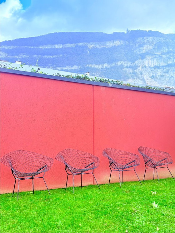 Image 1 of Poltrone Bertoia