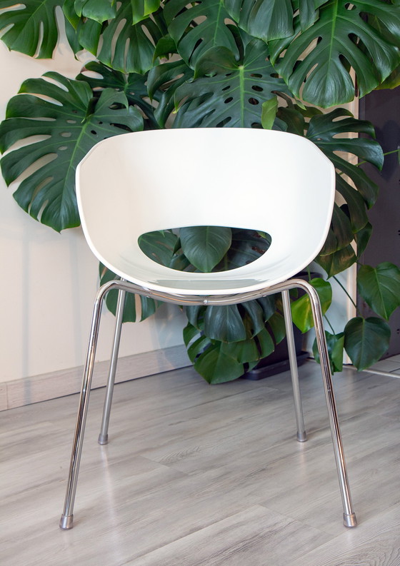 Image 1 of Chaise "Orbit Large" Pour Sintesi, Design Cantarutti 1990