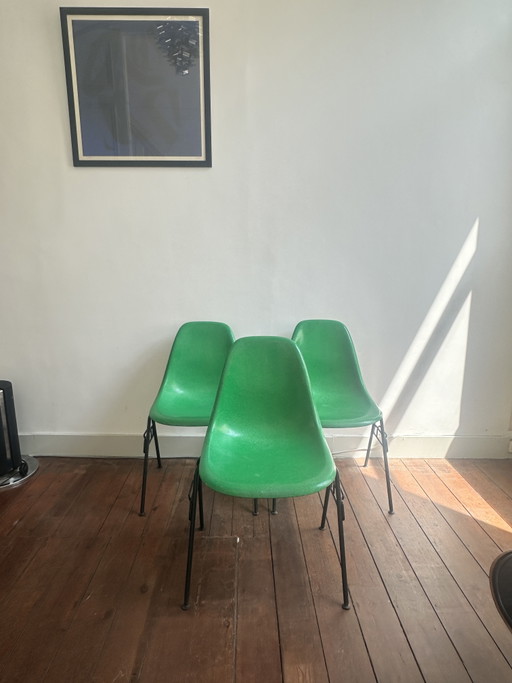 3 chaises Eames DSS