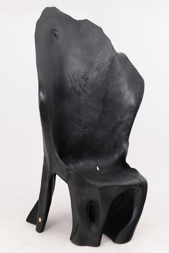 Image 1 of Fauteuil trône en bois noir carbonisé aux formes organiques par Logniture