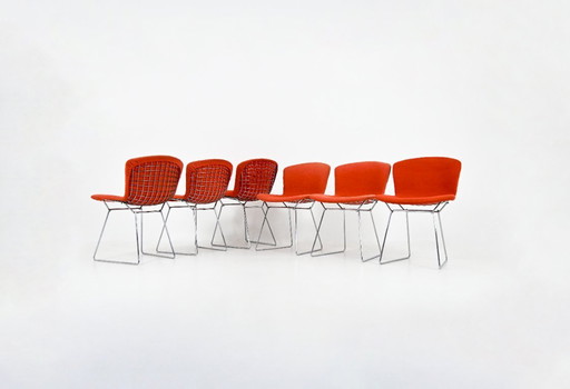 Stühle von Harry Bertoia für Knoll, 1960er Jahre, 6er-Set