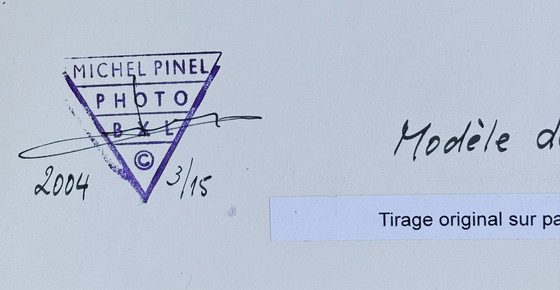 Image 1 of Michel Pinel ( 1949 ) Grande photographie 50cm x 40cm / Modèle dans la mi-ombre / édition 3/15