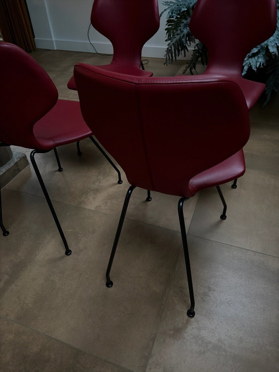 4 sedie Cavalletta Design on Stock, Sedie da pranzo, Pelle, Rosso (foto 3 di 8)