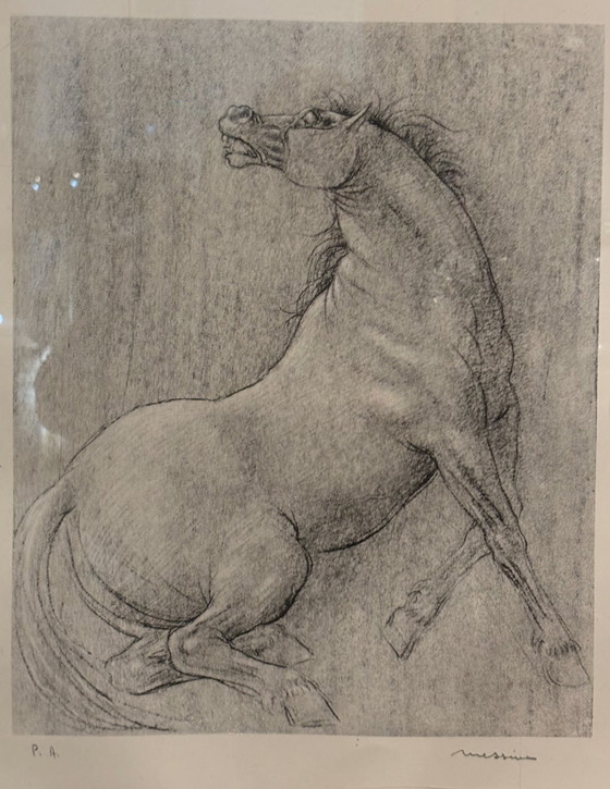 Francesco Messina Horse Lithograph, 1960s – Paintings & Drawings, Paper, Figuratief (photo 9 of 9)