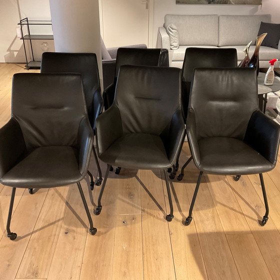 Image 1 of La sedia da pranzo Future Micka (2 pezzi)