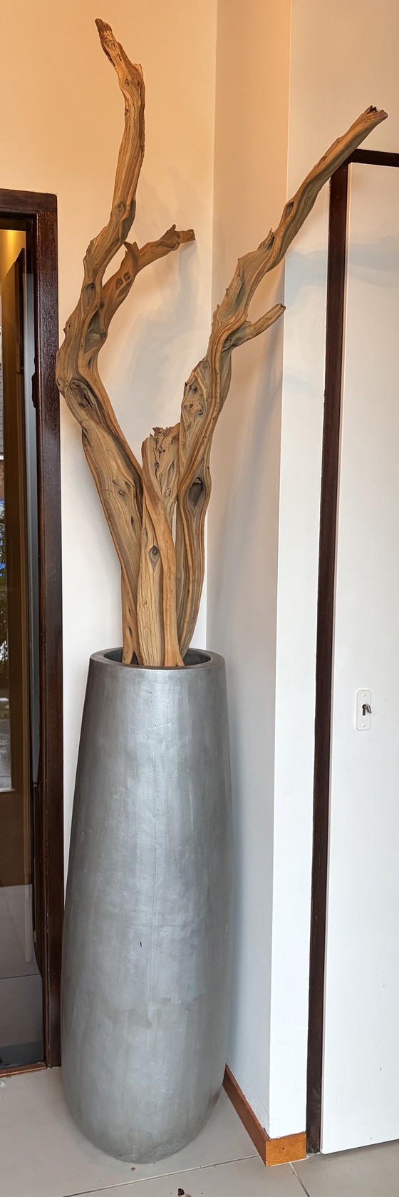 Image 1 of Zilveren plantenbak