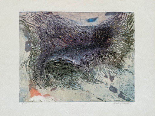 Litografia "Metamorfosi" di Shirley Estelle Witebsky