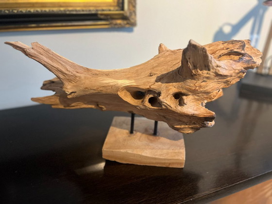 * Uniek Stuk Driftwood, Drijfhout, Teak Wortel Haai – Decoratieve objecten (photo 3 of 9)