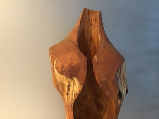 Image 1 of Wooden torso by Bart Ensing Nature Art