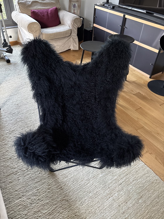 Image 1 of Iceland Mariposa Butterfly stoel