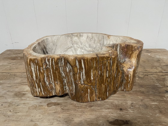 Lavabo en bois fossilisé. Bois fossilisé – Décoration, Stone, Wood (photo 4 of 5)
