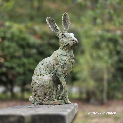 Bronze Sculpture Hare – beeldhouwkunst